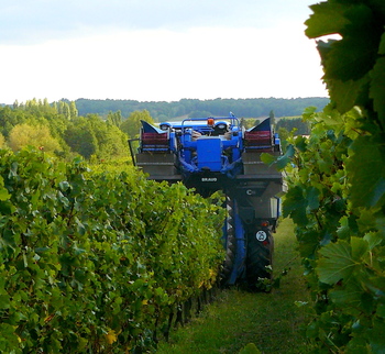 Harvesting machine at Couronneau.JPG